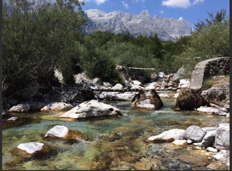 Отель Bujtina Dreni Тети Экстерьер фото